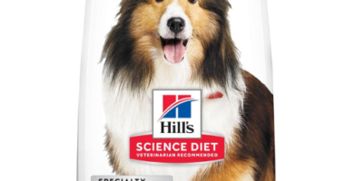 "El empaque es de color purpura y blanco, con el logo de Hill's Science Diet comida para perros adultos en la parte superior. El diseño incluye una imagen destacada de un perro adulto de raza grande, en un fondo natural que resalta la calidad y la nutrición del producto. El empaque está claramente etiquetado con "Adulto" y "Comida seca para perros", con un enfoque en la nutrición equilibrada y beneficios para la salud del perro. También se puede ver una breve descripción del producto y un recuadro con información sobre "Ingredientes de alta calidad" y "Mejora de la salud."